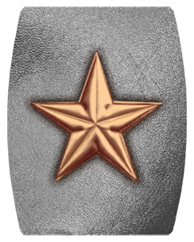 DAREC 430 CP SL Star Copper Silver